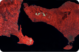 Satellite mosaic preview